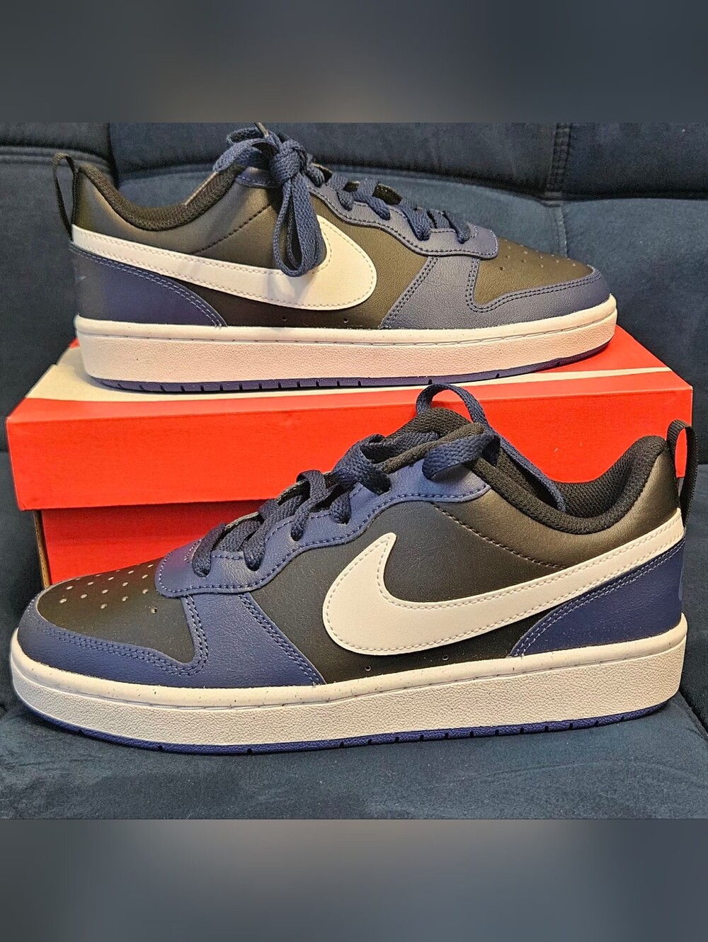 NIKE Court Borough Low